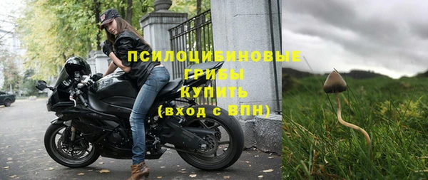 МДПВ Богданович
