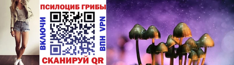 Купить закладки  Ардон  Псилоцибиновые грибы MAGIC MUSHROOMS 